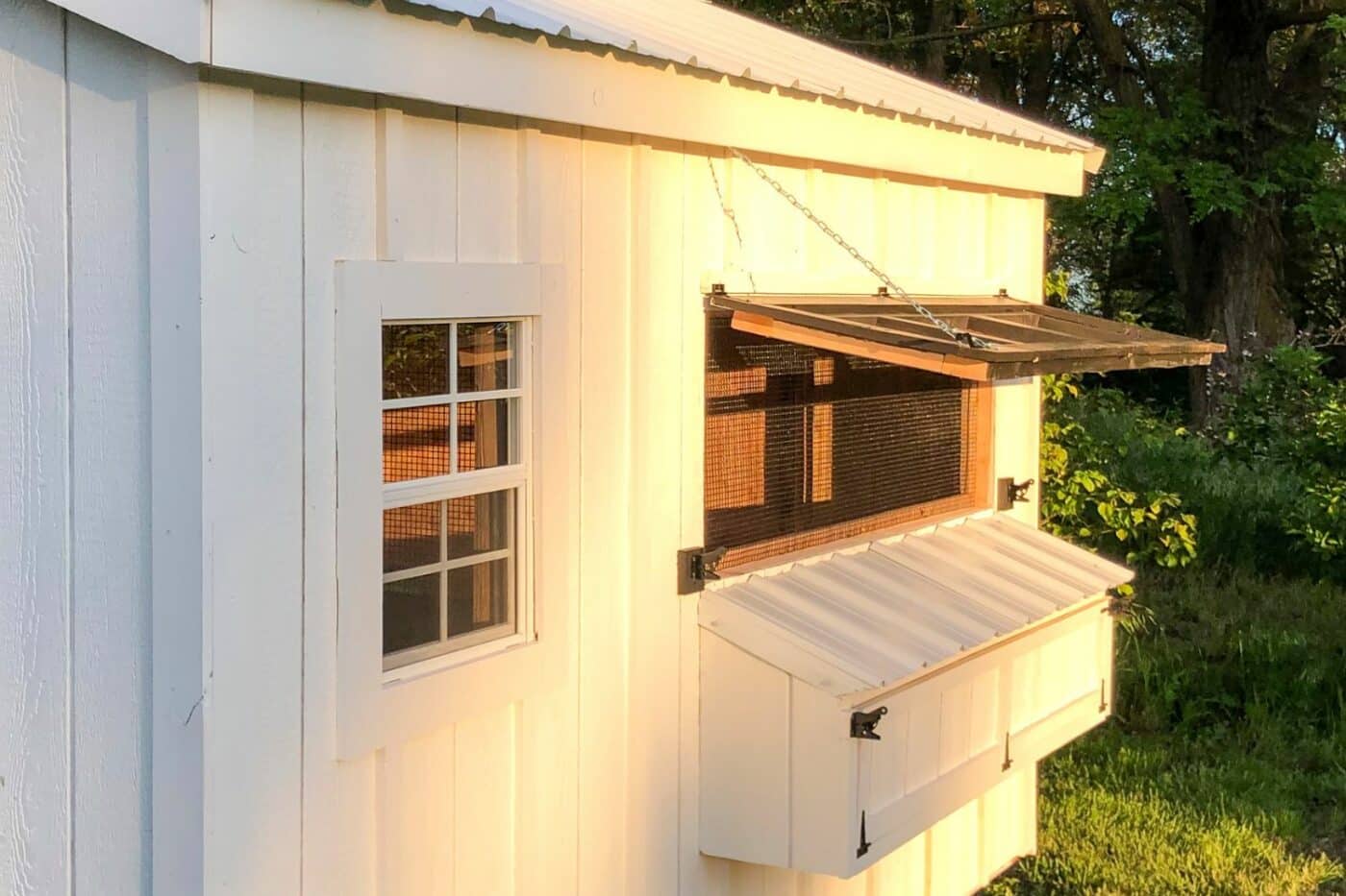 elite portable chicken coops in or