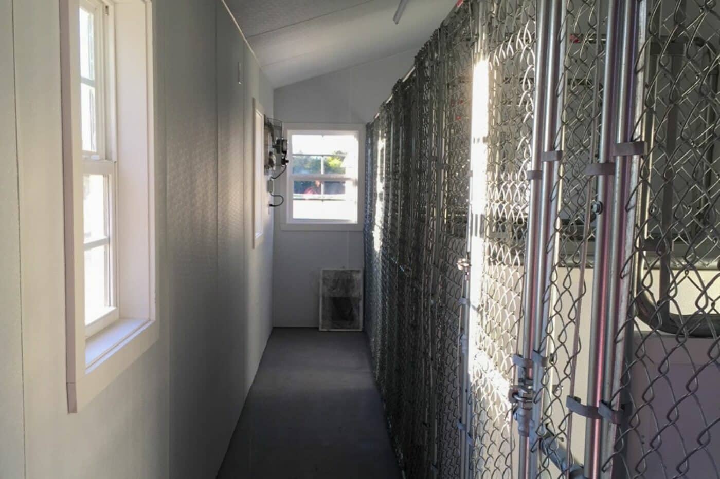 commercial dog kennel options
