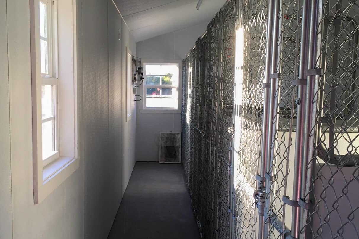commercial custom dog kennels