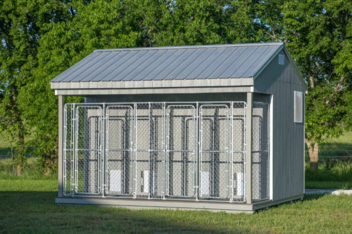 standard commercial dog kennel in or