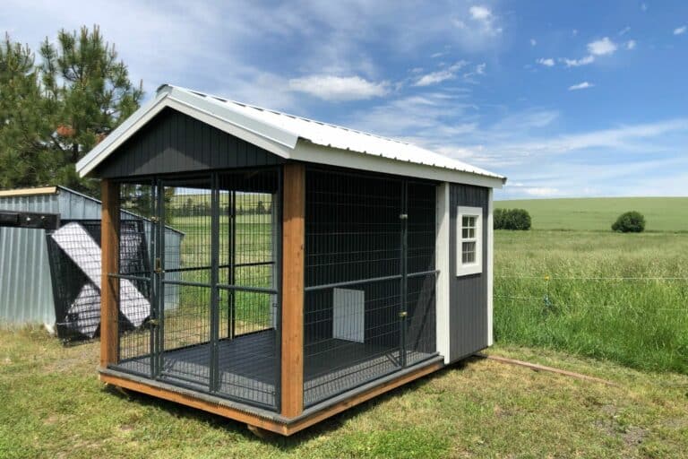 dog kennel runs