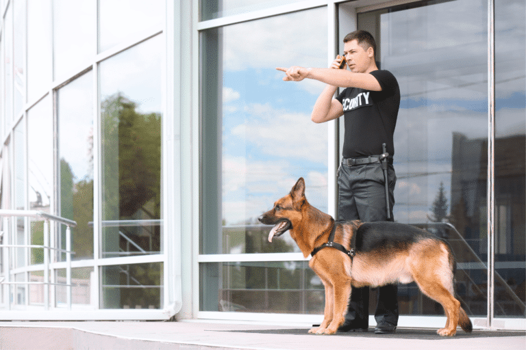 dog shed kennel security in or and washington