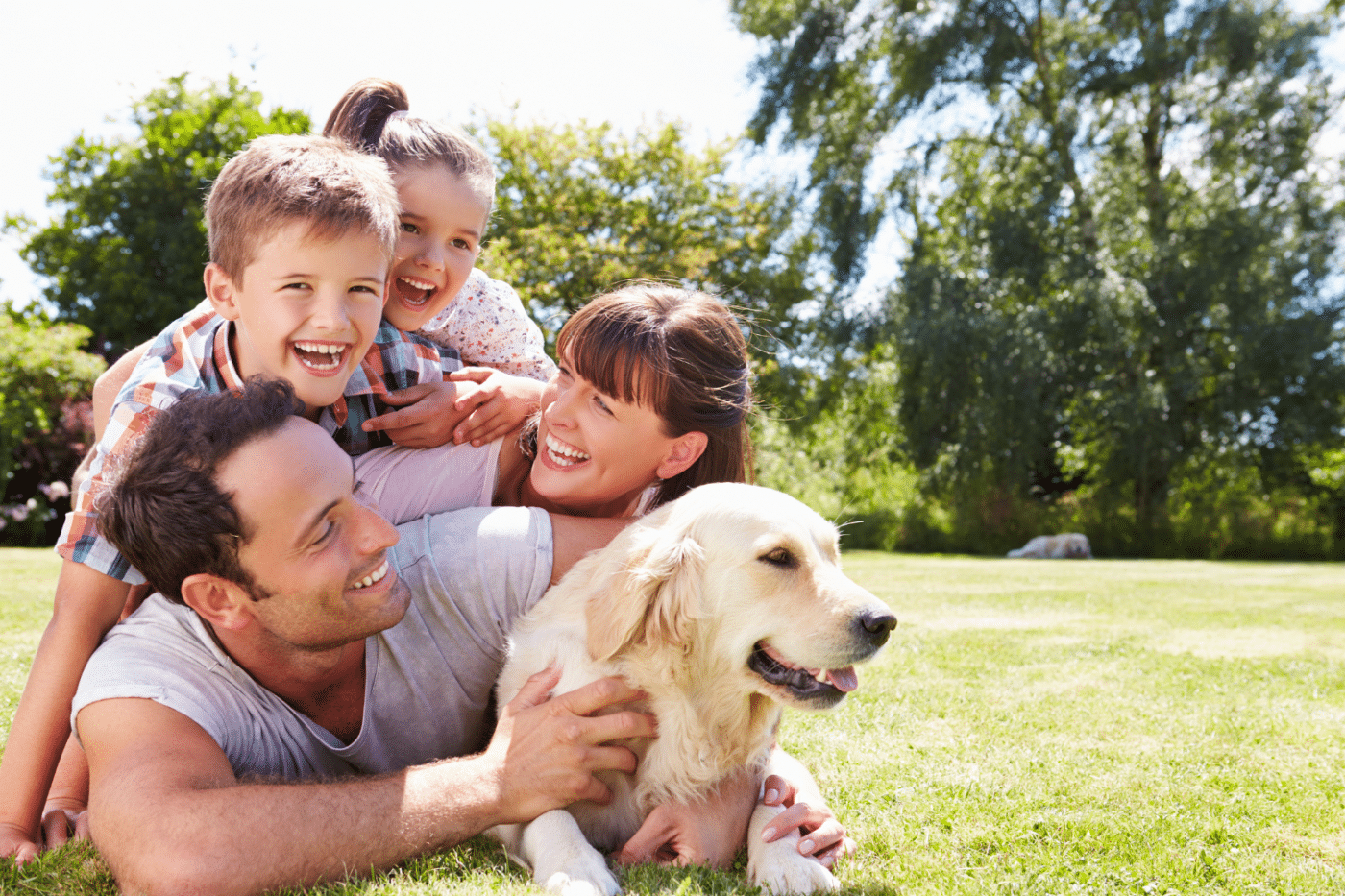 pictures for dog shed kennels in walla walla wa