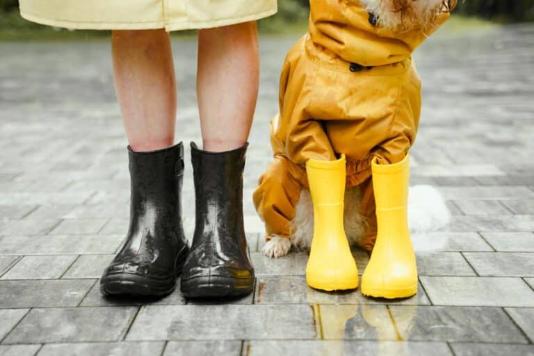 watertight insulation for dog house