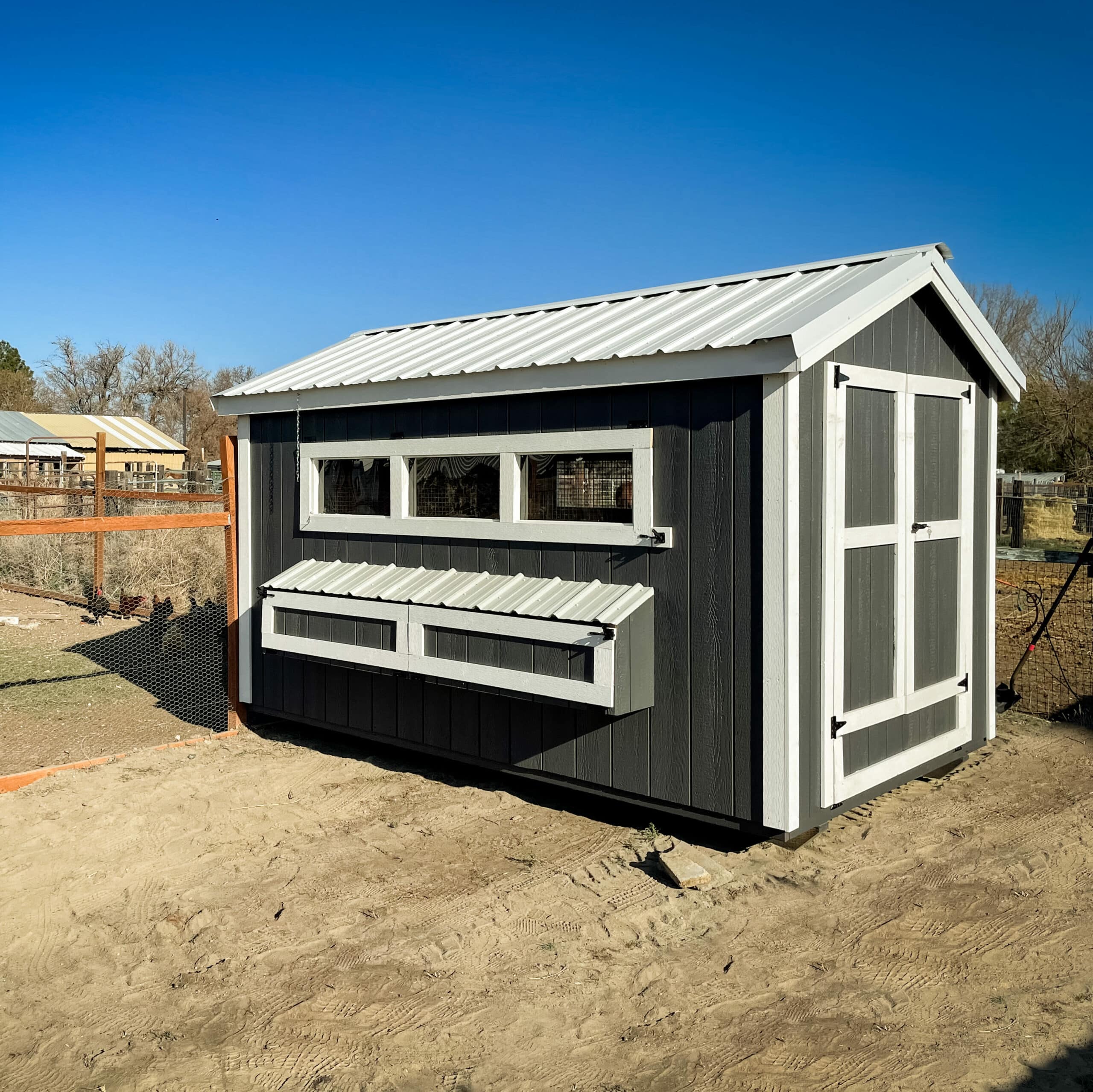 chicken house in backyard in washington fresh eggs