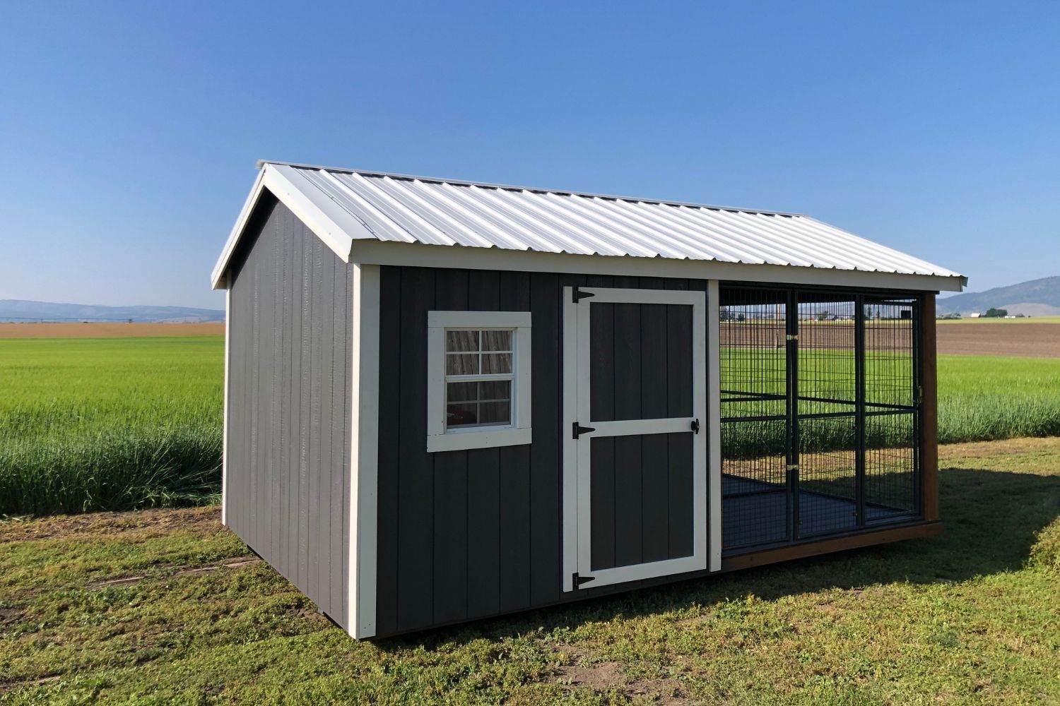 my barnyard- elite dog kennel for nine dogs-