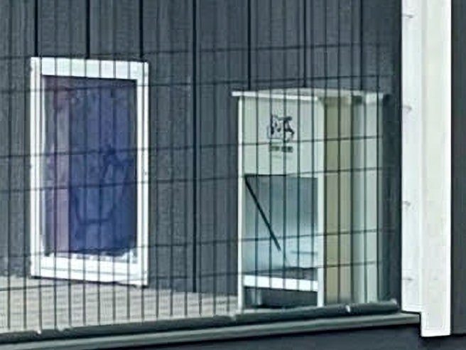automatic dog feeder option for dog kennels in tri cities washington
