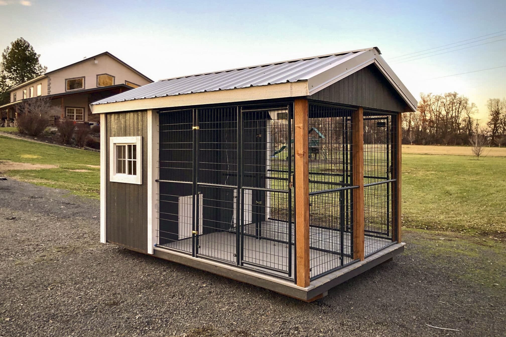 outdoor dog kennel shed in wa